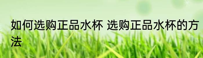 如何选购正品水杯 选购正品水杯的方法
