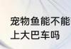 宠物鱼能不能带上大巴车 宠物鱼能带上大巴车吗