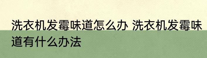 洗衣机发霉味道怎么办 洗衣机发霉味道有什么办法