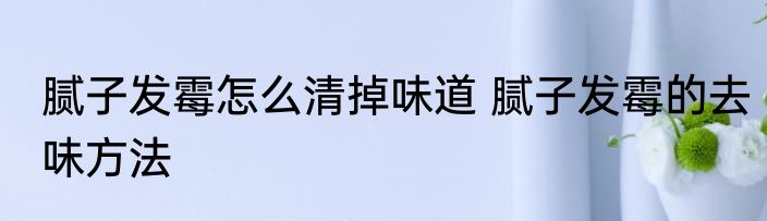 腻子发霉怎么清掉味道 腻子发霉的去味方法