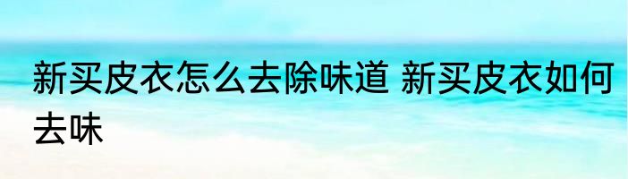 新买皮衣怎么去除味道 新买皮衣如何去味