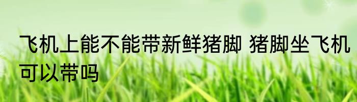 飞机上能不能带新鲜猪脚 猪脚坐飞机可以带吗