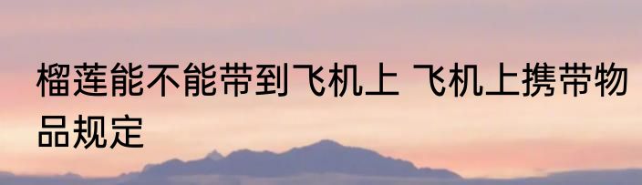 榴莲能不能带到飞机上 飞机上携带物品规定