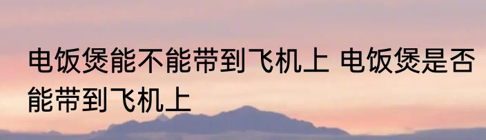 电饭煲能不能带到飞机上 电饭煲是否能带到飞机上