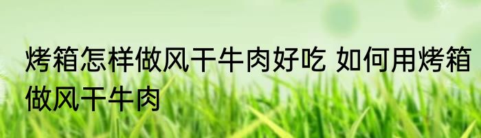 烤箱怎样做风干牛肉好吃 如何用烤箱做风干牛肉