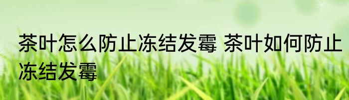 茶叶怎么防止冻结发霉 茶叶如何防止冻结发霉