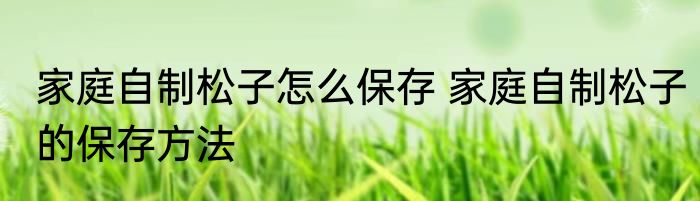 家庭自制松子怎么保存 家庭自制松子的保存方法