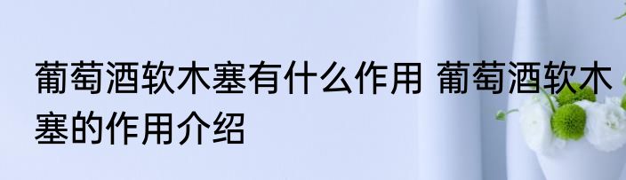 葡萄酒软木塞有什么作用 葡萄酒软木塞的作用介绍