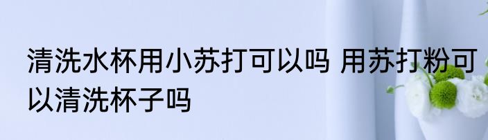 清洗水杯用小苏打可以吗 用苏打粉可以清洗杯子吗