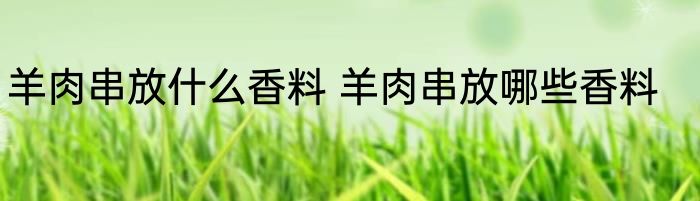 羊肉串放什么香料 羊肉串放哪些香料
