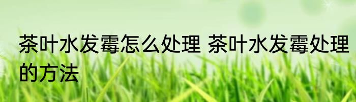 茶叶水发霉怎么处理 茶叶水发霉处理的方法
