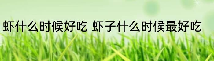 虾什么时候好吃 虾子什么时候最好吃