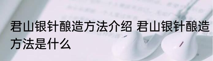 君山银针酿造方法介绍 君山银针酿造方法是什么