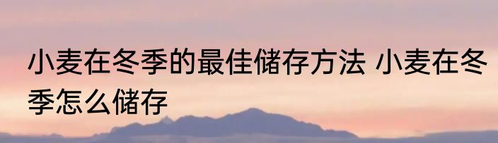小麦在冬季的最佳储存方法 小麦在冬季怎么储存