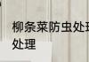柳条菜防虫处理 柳条菜如何做好防虫处理