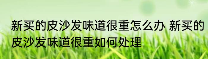 新买的皮沙发味道很重怎么办 新买的皮沙发味道很重如何处理