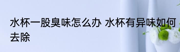 水杯一股臭味怎么办 水杯有异味如何去除