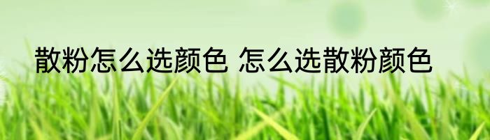 散粉怎么选颜色 怎么选散粉颜色