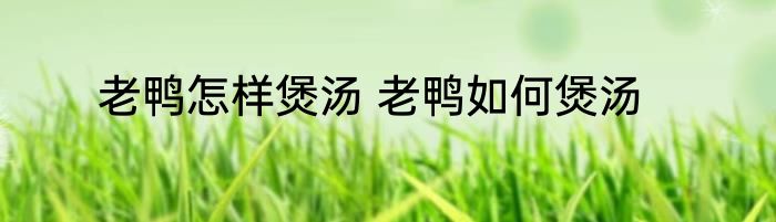 老鸭怎样煲汤 老鸭如何煲汤