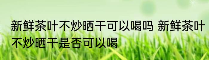 新鲜茶叶不炒晒干可以喝吗 新鲜茶叶不炒晒干是否可以喝