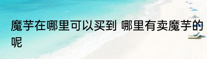魔芋在哪里可以买到 哪里有卖魔芋的呢