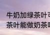 牛奶加绿茶叶可以做奶茶吗 牛奶加绿茶叶能做奶茶吗