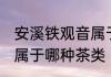 安溪铁观音属于什么茶类 安溪铁观音属于哪种茶类
