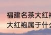 福建名茶大红袍属于哪类茶 福建名茶大红袍属于什么茶