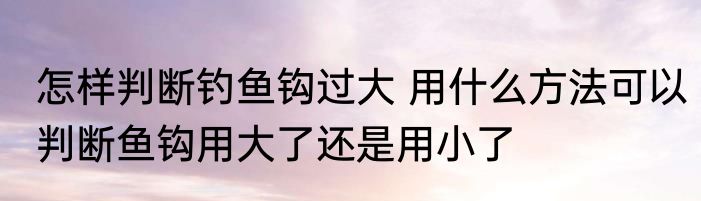 怎样判断钓鱼钩过大 用什么方法可以判断鱼钩用大了还是用小了