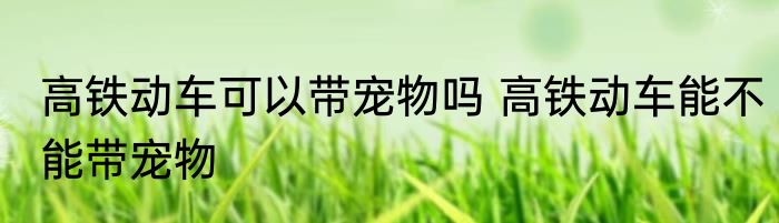 高铁动车可以带宠物吗 高铁动车能不能带宠物