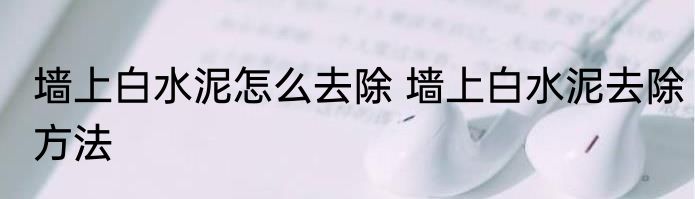 墙上白水泥怎么去除 墙上白水泥去除方法