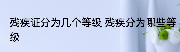 残疾证分为几个等级 残疾分为哪些等级