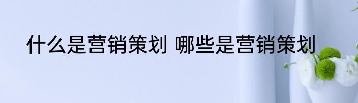什么是营销策划 哪些是营销策划
