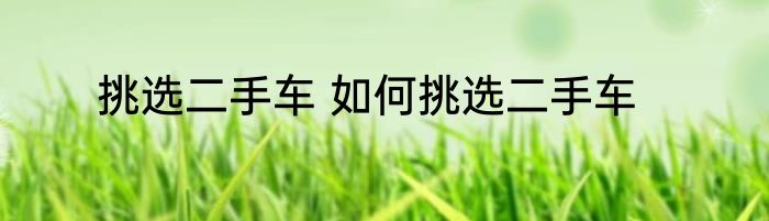挑选二手车 如何挑选二手车