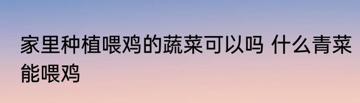 家里种植喂鸡的蔬菜可以吗 什么青菜能喂鸡