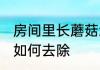 房间里长蘑菇怎么去除 房间里长蘑菇如何去除