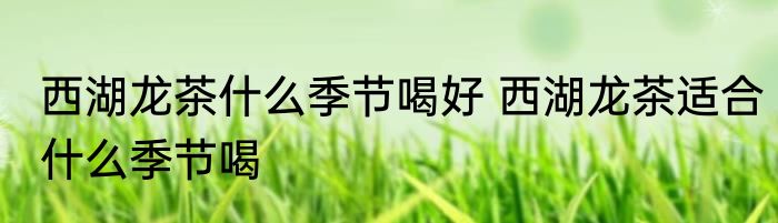 西湖龙茶什么季节喝好 西湖龙茶适合什么季节喝