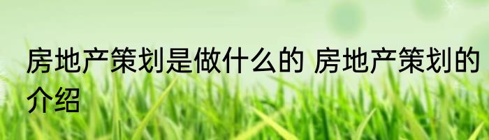 房地产策划是做什么的 房地产策划的介绍