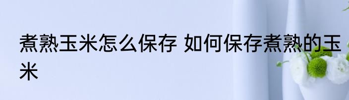 煮熟玉米怎么保存 如何保存煮熟的玉米