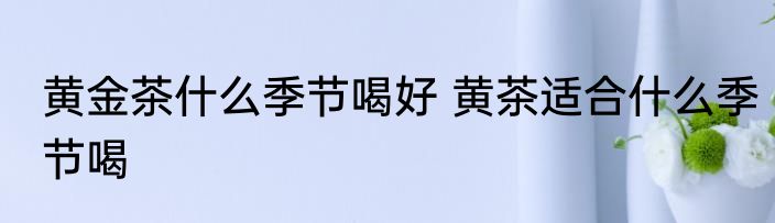 黄金茶什么季节喝好 黄茶适合什么季节喝