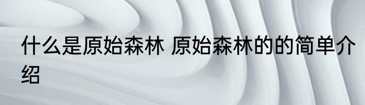 什么是原始森林 原始森林的的简单介绍