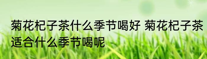 菊花杞子茶什么季节喝好 菊花杞子茶适合什么季节喝呢