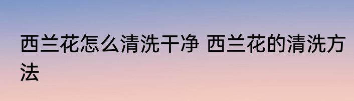 西兰花怎么清洗干净 西兰花的清洗方法