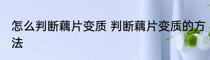 怎么判断藕片变质 判断藕片变质的方法