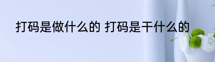 打码是做什么的 打码是干什么的