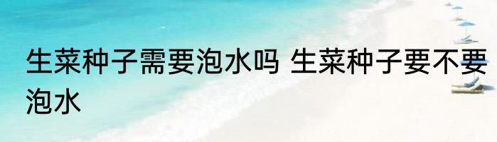 生菜种子需要泡水吗 生菜种子要不要泡水