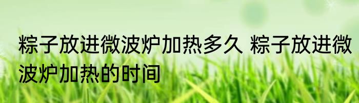 粽子放进微波炉加热多久 粽子放进微波炉加热的时间