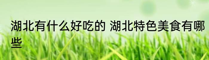 湖北有什么好吃的 湖北特色美食有哪些