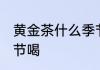 黄金茶什么季节喝好 黄茶适合什么季节喝