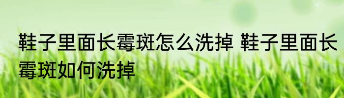 鞋子里面长霉斑怎么洗掉 鞋子里面长霉斑如何洗掉